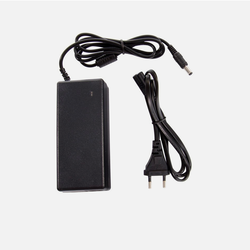 Chargeur URBANGLIDE 29,4v (2 Pins) - Universel