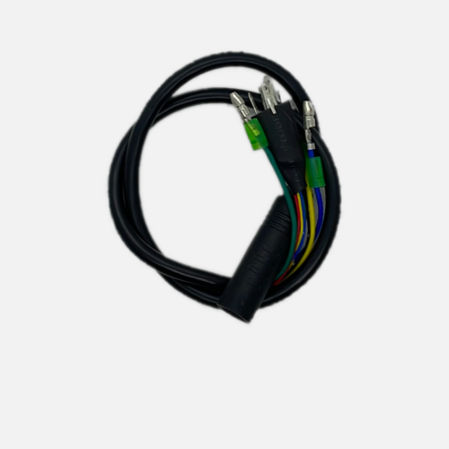 Image produit Cable de connexion moteur Bike F1