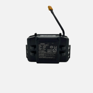 Hoverboard Batterie 36V 4Ah